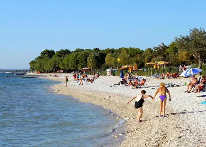 Appartamento With A Parking Space Valbandon, Fazana - 7383 Fondole