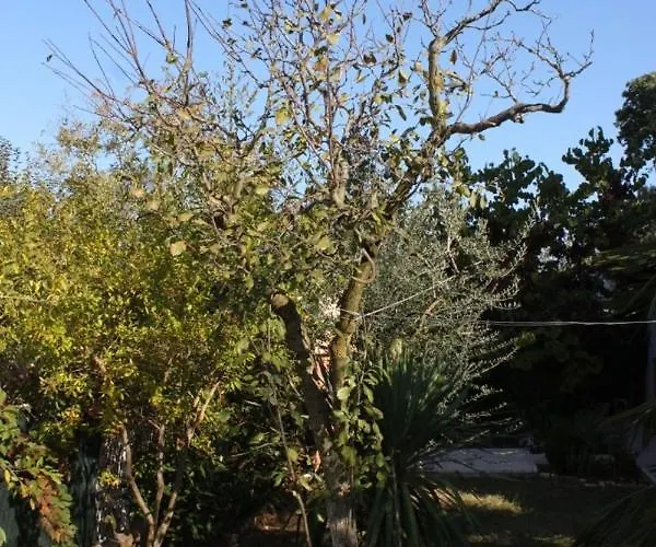 With A Parking Space Valbandon, Fazana - 7383 Fondole